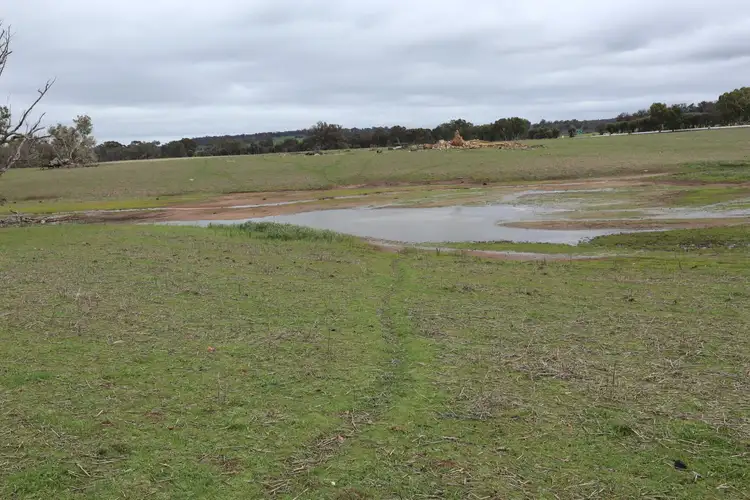 Third view of Homely land listing, 41 Pinjarra-Williams Road, Williams WA 6391
