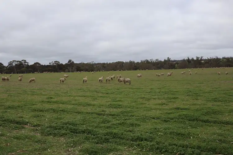 Fourth view of Homely land listing, 41 Pinjarra-Williams Road, Williams WA 6391
