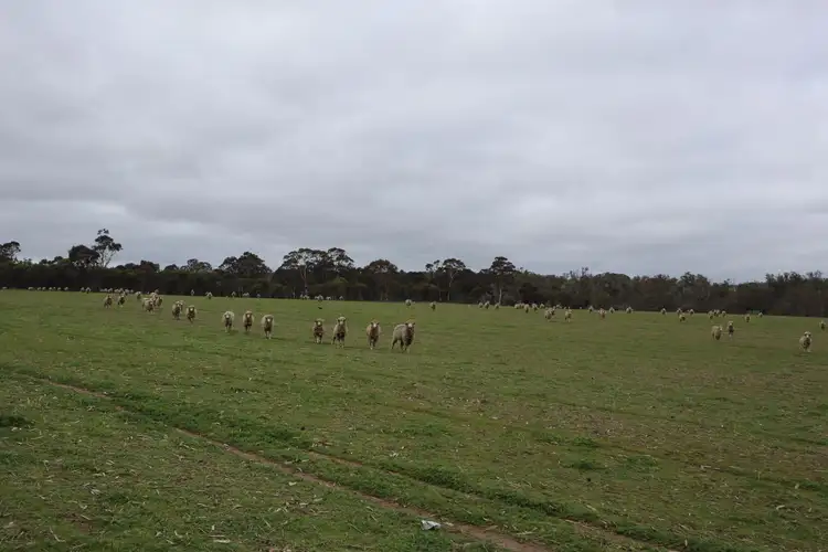 Sixth view of Homely land listing, 41 Pinjarra-Williams Road, Williams WA 6391