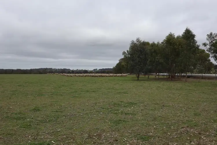 Seventh view of Homely land listing, 41 Pinjarra-Williams Road, Williams WA 6391