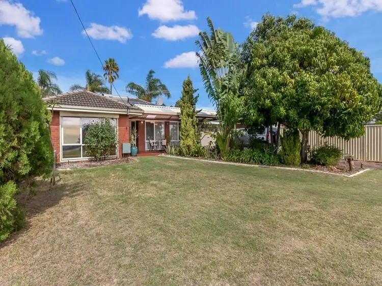 Second view of Homely house listing, 16 Mulligan Way, Orelia WA 6167