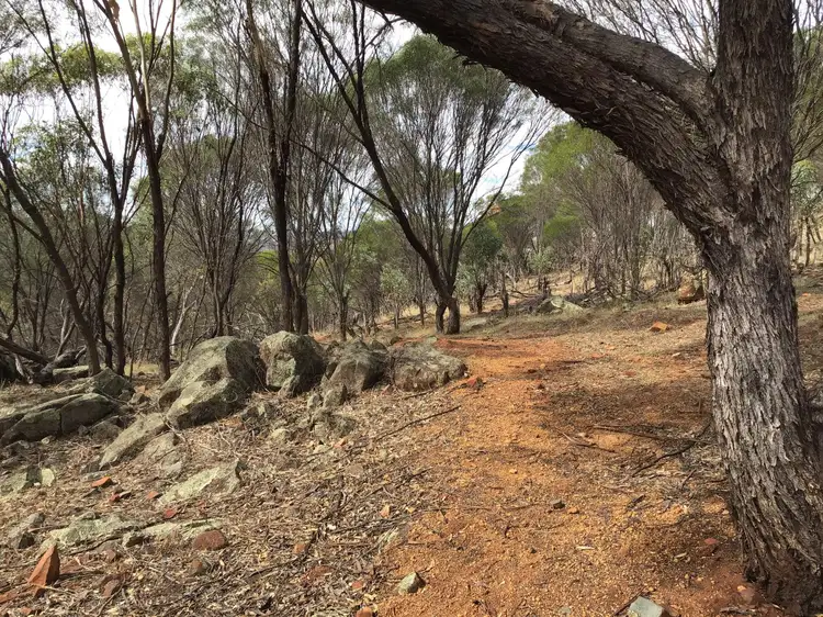 Fourth view of Homely house listing, 60 Timber Creek Crescent, Toodyay WA 6566