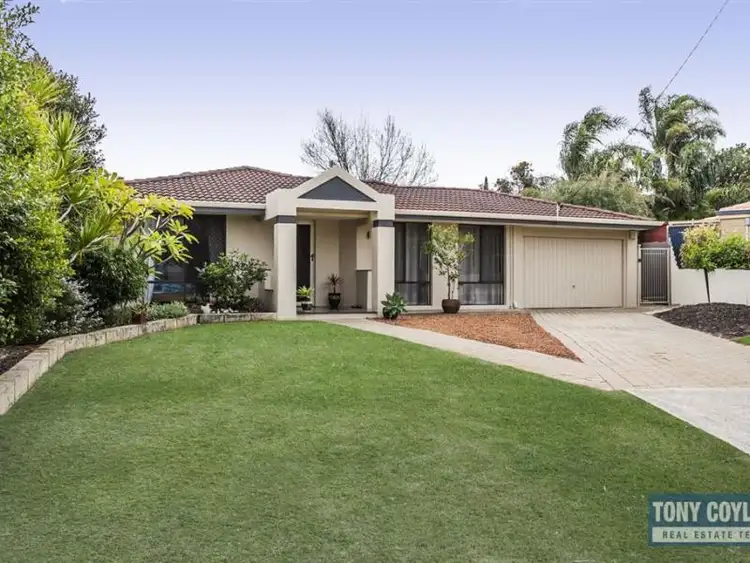 Second view of Homely house listing, 7 Bevis Court, Bibra Lake WA 6163