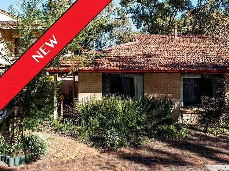 Main view of Homely villa listing, 7/645 Hay Street, Jolimont WA 6014