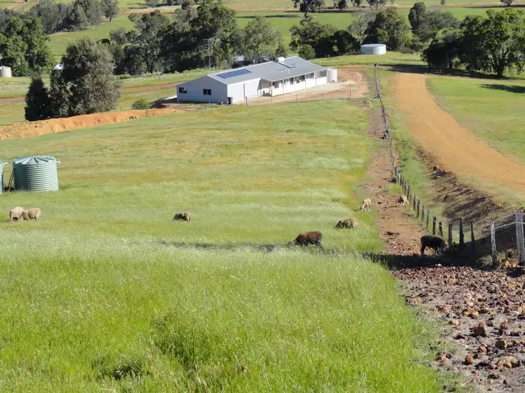Main view of Homely rural property listing, 230 Owen Road, Bindoon WA 6502