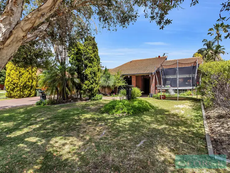 Second view of Homely house listing, 16 Caldwell Place, Carine WA 6020