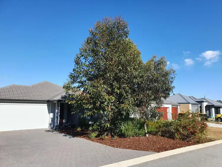 Main view of Homely house listing, 29 Serenity Street, Wellard WA 6170