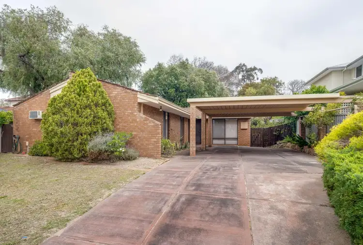 Main view of Homely house listing, 99 Lissadell Street, Floreat WA 6014