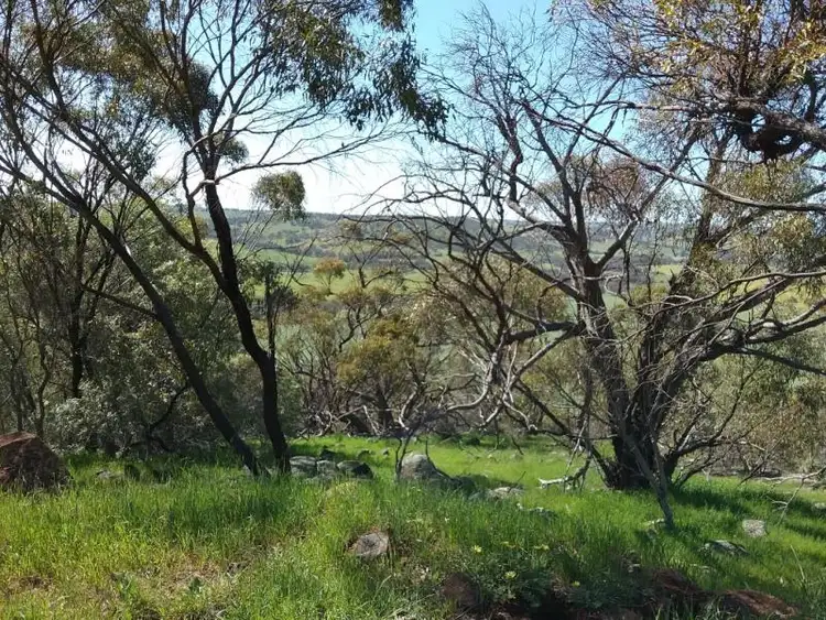 Fifth view of Homely land listing, 175 Timber Creek Crescent, Toodyay WA 6566