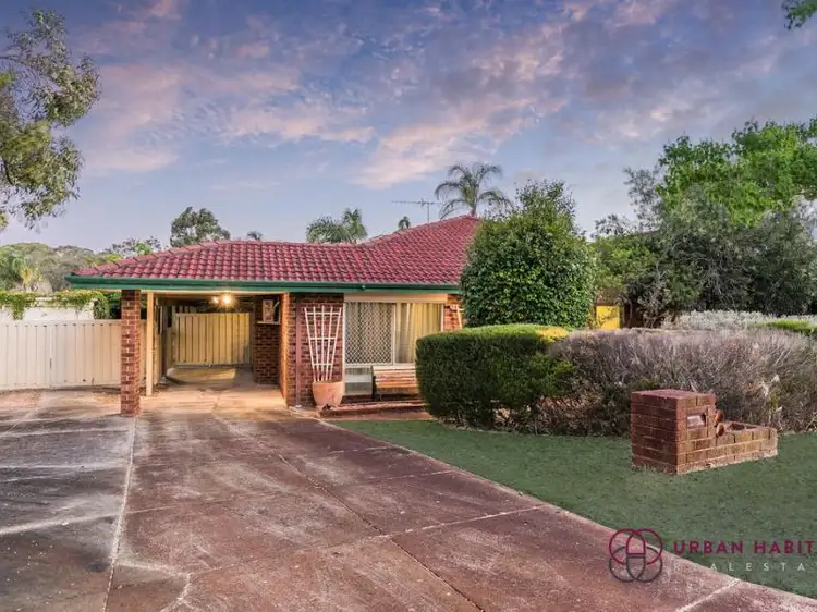 Main view of Homely house listing, 3 Dawkins Court, Leda WA 6170