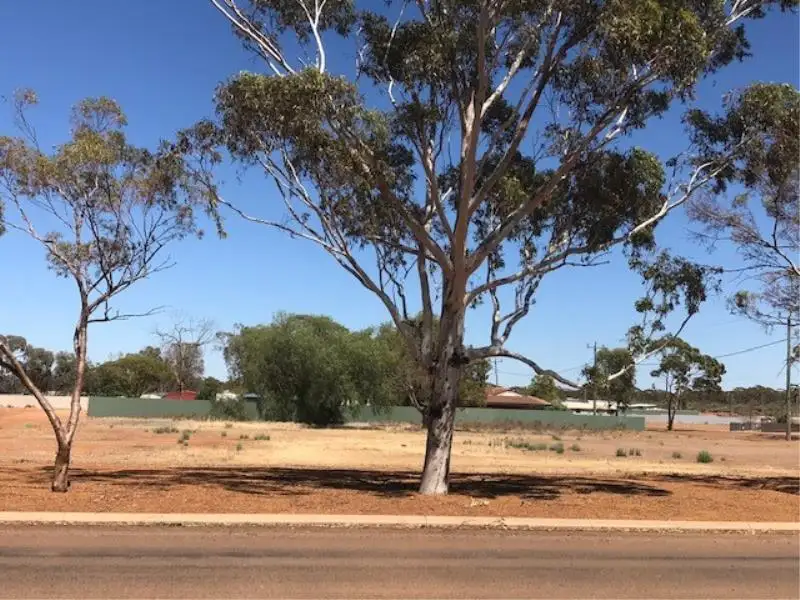 Main view of Homely land listing, 75 King Street, Coolgardie WA 6429