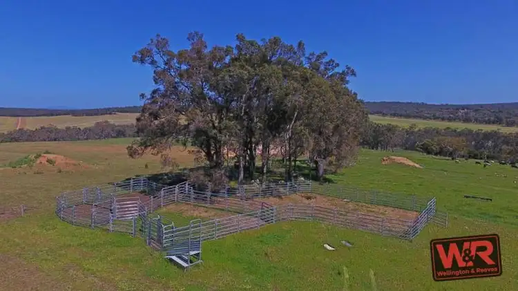 Sixth view of Homely rural property listing, 1417 Spencer Road, Narrikup WA 6326