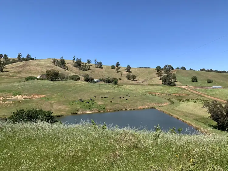 Main view of Homely rural property listing, 582 Beela Road, Brunswick WA 6224