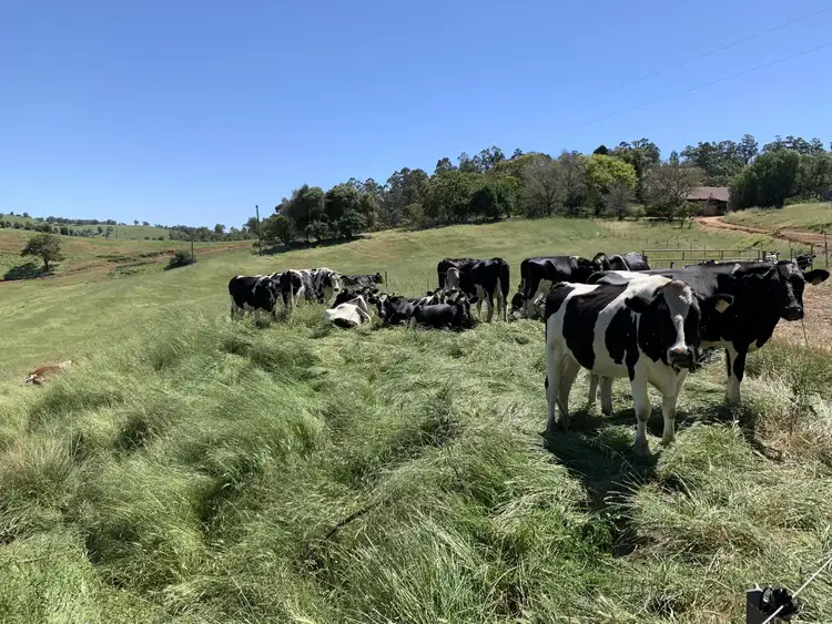 Third view of Homely rural property listing, 582 Beela Road, Brunswick WA 6224