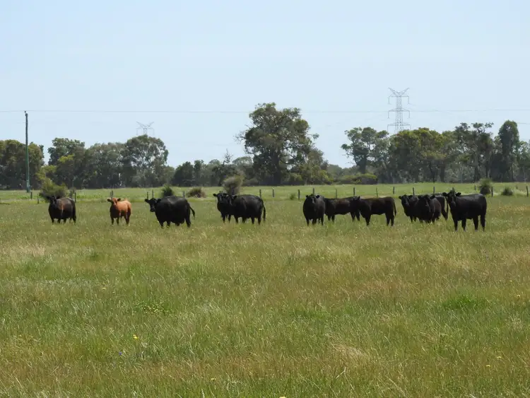 Sixth view of Homely rural property listing, 230 Brownes Road, West Coolup WA 6214