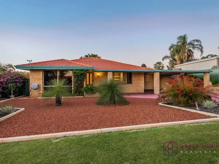 Fifth view of Homely house listing, 31 Tunnicliffe Street, Parmelia WA 6167