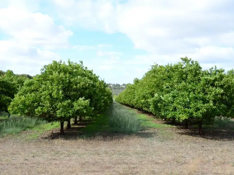Lot 15 Lennards Road, Lennard Brook WA 6503