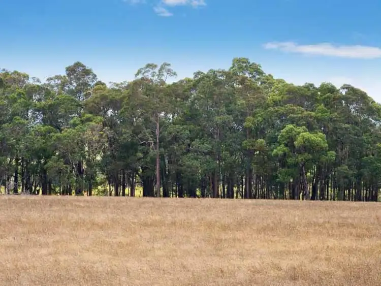 Fourth view of Homely rural property listing, 19 Boobook Road, Rosa Brook WA 6285