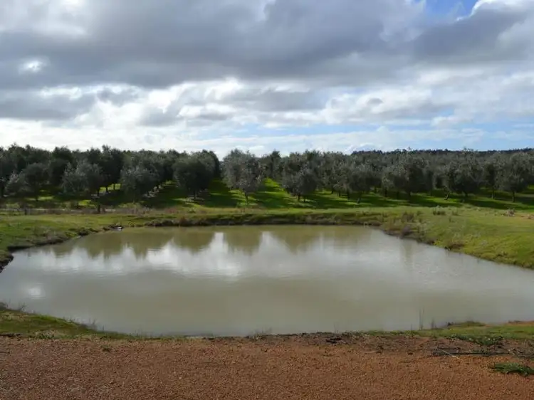 Fourth view of Homely rural property listing, Lot 1, 1 Donnybrook-Boyup Brook Road, Mumballup WA 6225