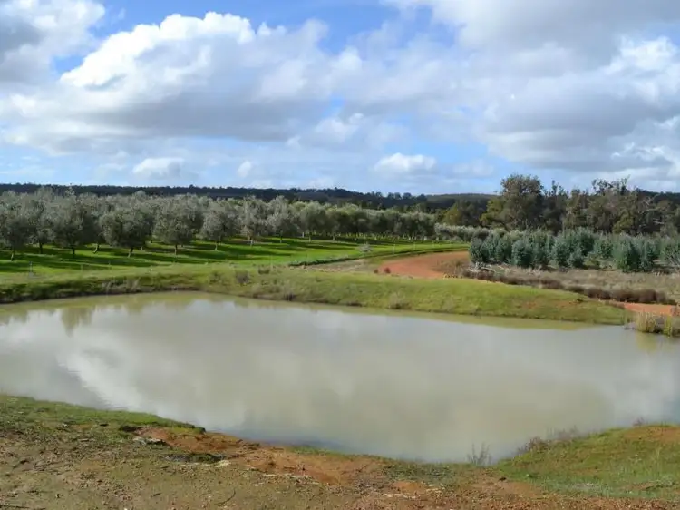 Fifth view of Homely rural property listing, Lot 1, 1 Donnybrook-Boyup Brook Road, Mumballup WA 6225