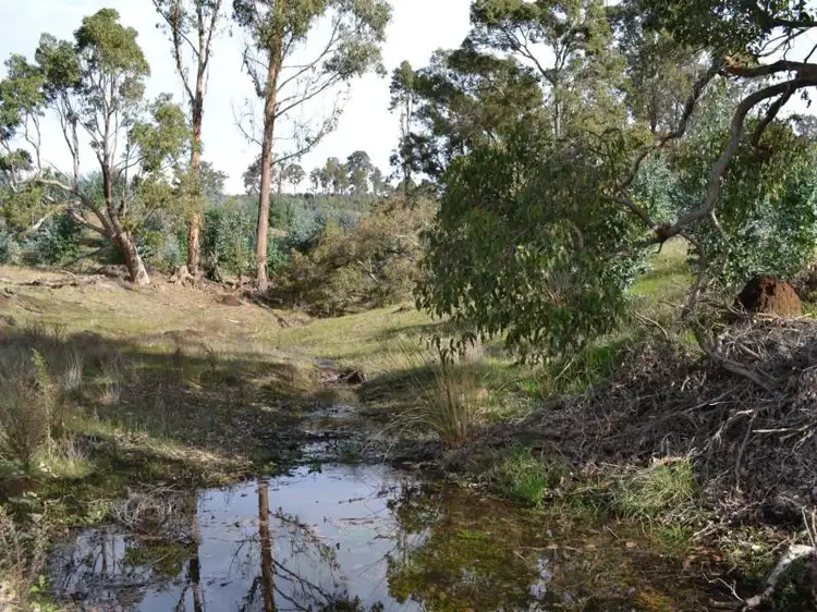 Sixth view of Homely rural property listing, Lot 1, 1 Donnybrook-Boyup Brook Road, Mumballup WA 6225