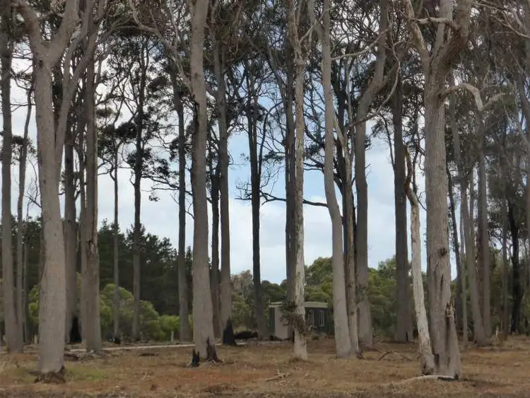Fifth view of Homely land listing, 2 Bole Way, Karridale WA 6288