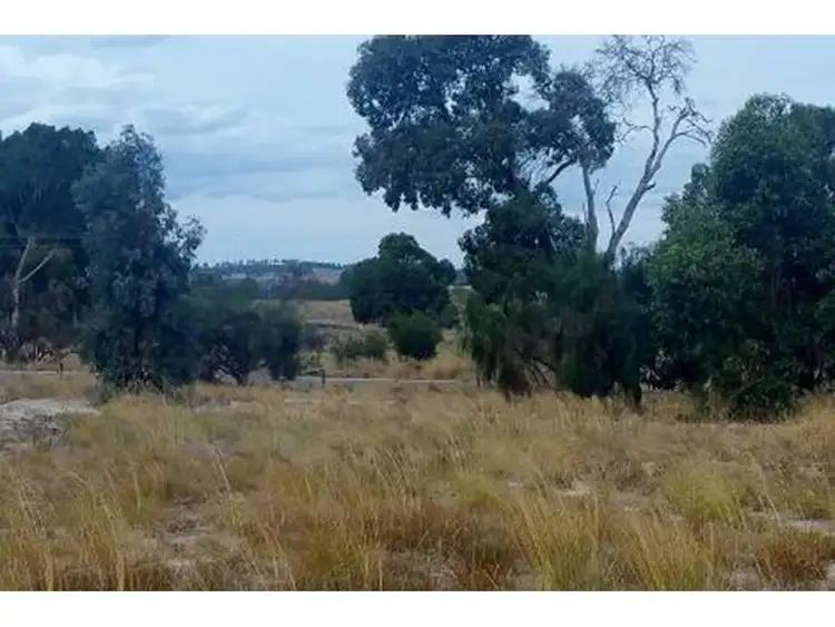 Second view of Homely land listing, 8 Shanks's Pony Lane, Gingin WA 6503