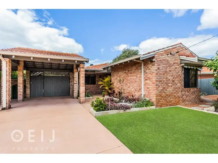 Second view of Homely house listing, 19 Silky Oak Lane, Willetton WA 6155
