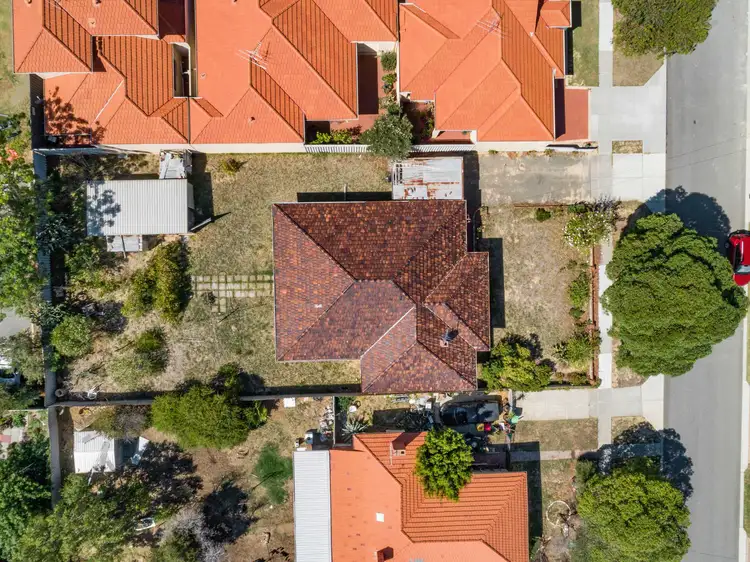 Fourth view of Homely house listing, 239 Hector Street, Tuart Hill WA 6060