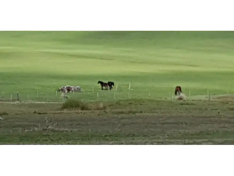 Fifth view of Homely land listing, 73 Patens Drive, Lower Chittering WA 6084