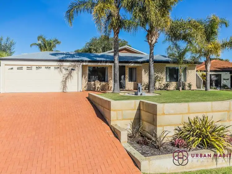 Main view of Homely house listing, 19 Brandon Mews, Parmelia WA 6167