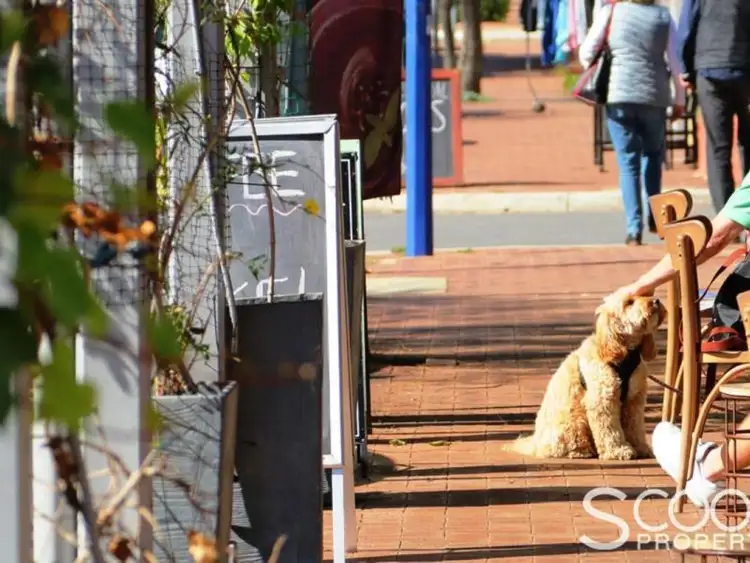 Sixth view of Homely house listing, 39 Sewell Street, East Fremantle WA 6158