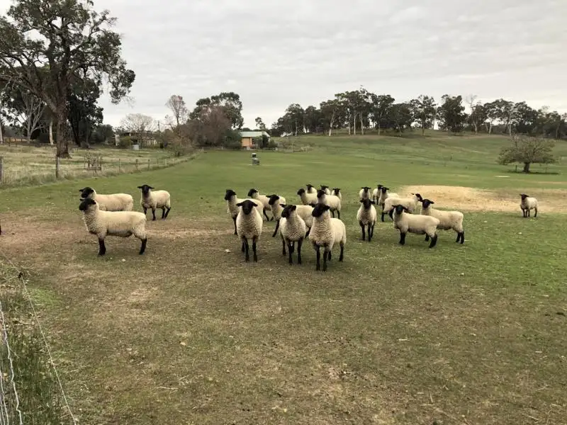 Main view of Homely rural property listing, 1614 GIBBS ROAD, Boyup Brook WA 6244