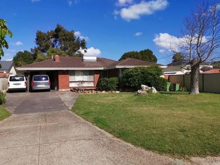 Main view of Homely house listing, 19 Thomas Way, Kardinya WA 6163