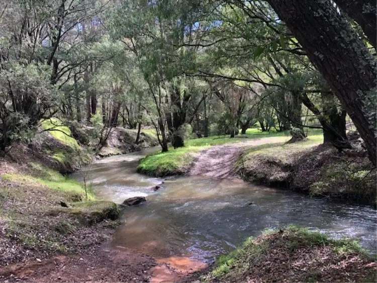 Sixth view of Homely land listing, Lot 113 Wellington Mill Road, Wellington Mill WA 6236