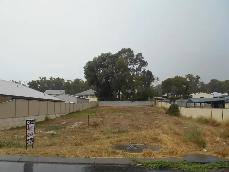 12 Irwin Street, Collie WA 6225