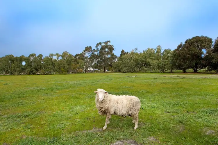 Second view of Homely house listing, 29 Shorthorn Pass, Lower Chittering WA 6084