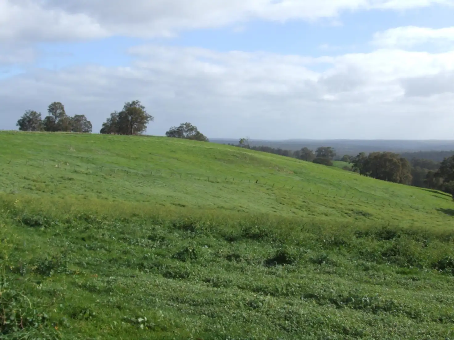 Main view of Homely rural property listing, Lot 75 Thomas  Road, Upper Capel WA 6239