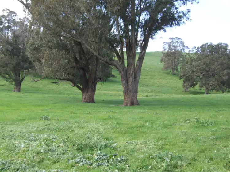 Fourth view of Homely rural property listing, Lot 75 Thomas  Road, Upper Capel WA 6239