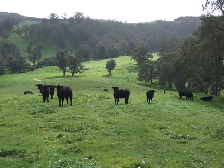 Fifth view of Homely rural property listing, Lot 75 Thomas  Road, Upper Capel WA 6239