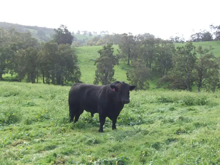 Sixth view of Homely rural property listing, Lot 75 Thomas  Road, Upper Capel WA 6239