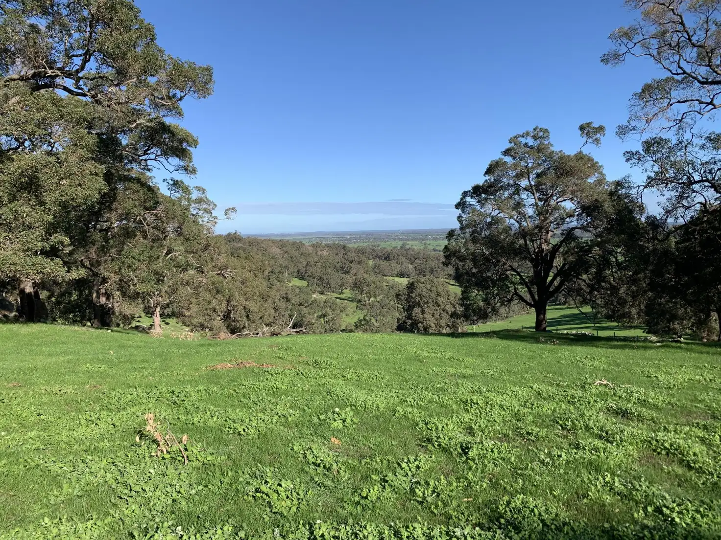 Main view of Homely rural property listing, 11571 SOUTH WESTERN HIGHWAY, Wokalup WA 6221
