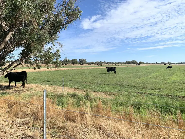 Fifth view of Homely rural property listing, 11571 SOUTH WESTERN HIGHWAY, Wokalup WA 6221