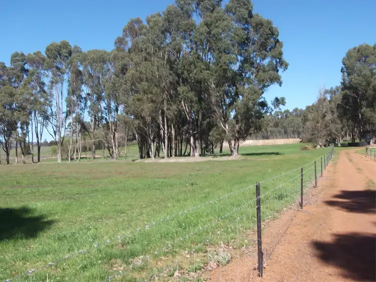 Seventh view of Homely rural property listing, 508 Jones Road, Manjimup WA 6258