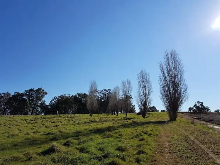 Lot 307, 15 Sinnott Road, Boyup Brook WA 6244