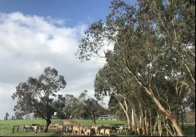 1462 CORONATION ROAD, Waroona WA 6215