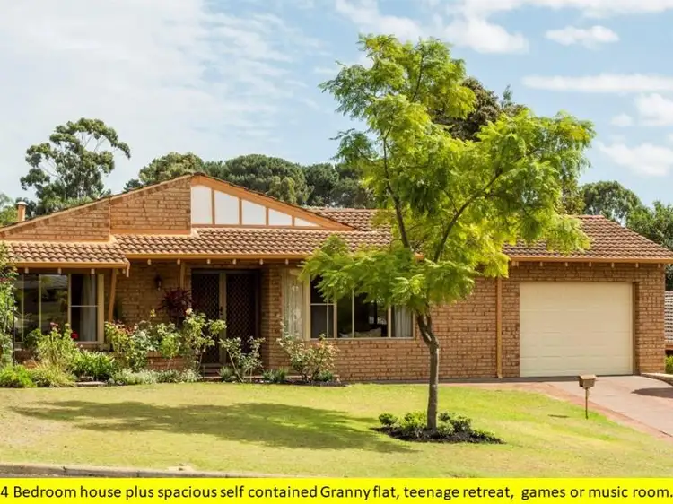 Main view of Homely house listing, 13 Buckingham Cres, Kardinya WA 6163