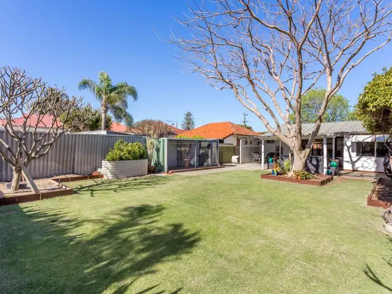 Main view of Homely house listing, 145 Flamborough Street, Doubleview WA 6018