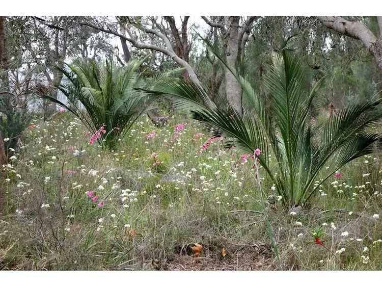 Fifth view of Homely house listing, Lot 55L, 55L Hausen Crt 2HA/5acres, Banjup WA 6164