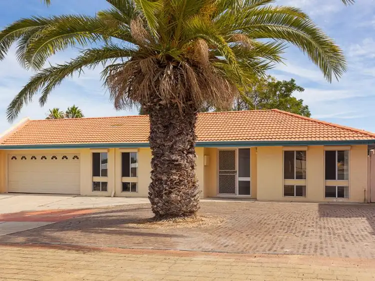 Sixth view of Homely house listing, 8 Fathom Court, Heathridge WA 6027